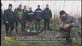 Emergenza bracconaggio