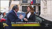 Vespone e il pungiglione sui politici