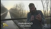 Moria dei pesci del Naviglio