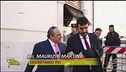 Vespone punzecchia i politici