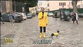 Testimonianza sui beni confiscati  alla mafia