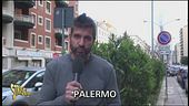 Cani in palazzina