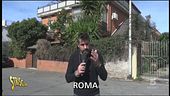 Gatti nella villetta abbandonata