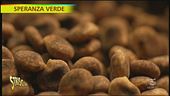 "Speranza verde" con il lupino