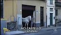 Il cavallo in garage