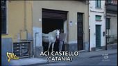 Il cavallo in garage