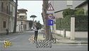 Le radici a Viareggio