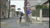 Le radici a Viareggio