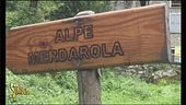 I cartelli super divertenti e da non perdere