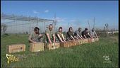 Gli uccelli liberati