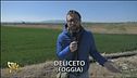 Novità sulla discarica di Deliceto