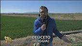 Novità sulla discarica di Deliceto