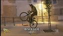 Spaccio a Bisceglie