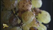 Paesi, paesaggi e Vino Santo