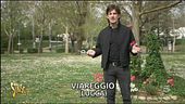 Odissea a Viareggio