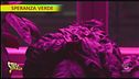Un basilico speciale