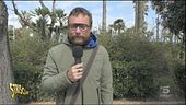 Novità sul caso Tamburrano