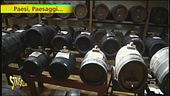 L'aceto balsamico