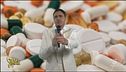 Approfondimenti su farmaci veterinari