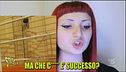 Highlander Dj sulla Brexit