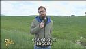 Le analisi a Cerignola