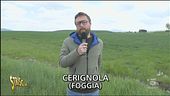Le analisi a Cerignola