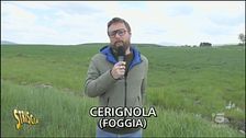 Le analisi a Cerignola