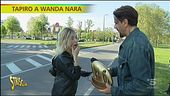 Tapiro d'oro a Wanda Nara