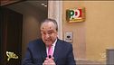 Vespone ronza sulla politica