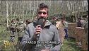 I caprioli liberati