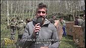 I caprioli liberati
