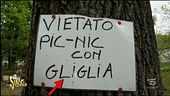 I super cartelli di Militello
