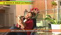Un cane speciale