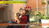 Un cane speciale