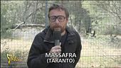 Aggiornamenti sul boschetto di Massafra