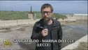Posidonia marina
