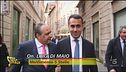Le punture del Vespone