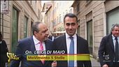 Le punture del Vespone