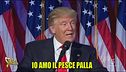 Highlander DJ e la dieta dei politici