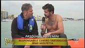 In aiuto delle tartarughe marine