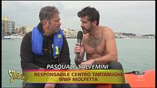 In aiuto delle tartarughe marine