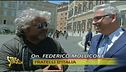 L'opinione di Grillo
