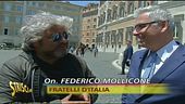 L'opinione di Grillo