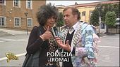 Spazio culturale di Pomezia