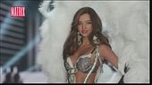 L'evoluzione delle modelle