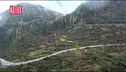 Viaggio nel Cadore