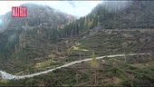 Viaggio nel Cadore