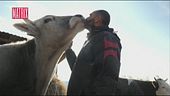 L'uomo che salva gli animali