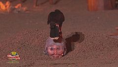 Il coraggio degli Chic