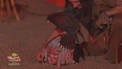 Il coraggio degli Shock